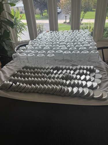 Rows of jars and lids ready for the first batch